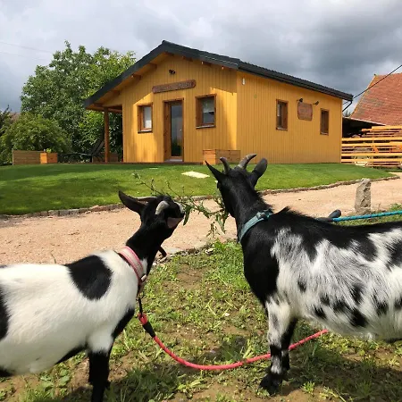 Chalet Au Natur'heil Nature-spa-gourmandise Wahlbach
