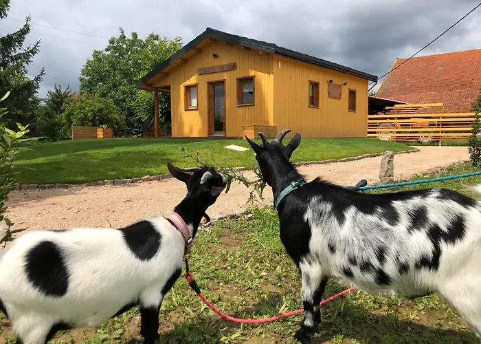 Chalet Au Natur'heil Nature-spa-gourmandise Wahlbach