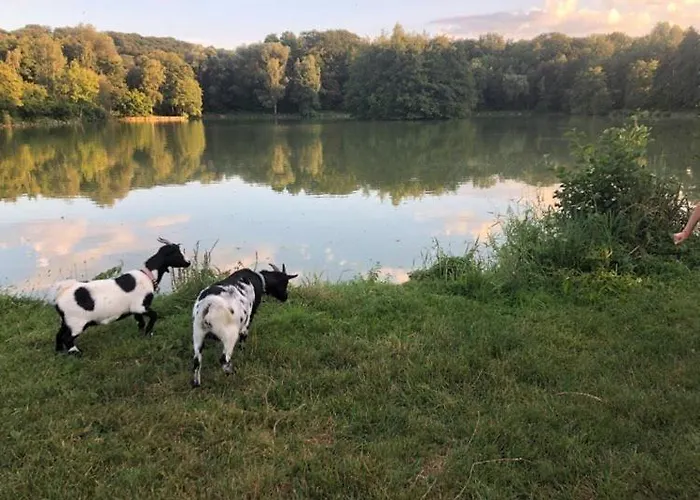 Au Natur'heil Nature-spa-gourmandise Chalet Wahlbach